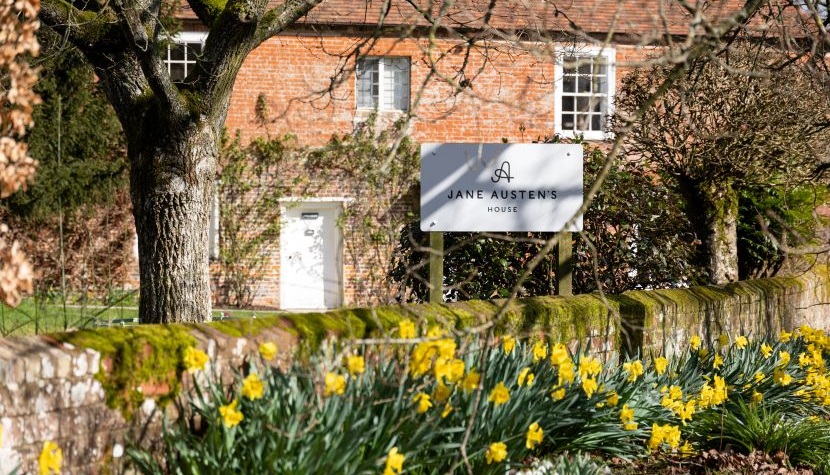 Daffodils at Jane Austen's House